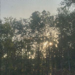 Meet your Posher, Cori